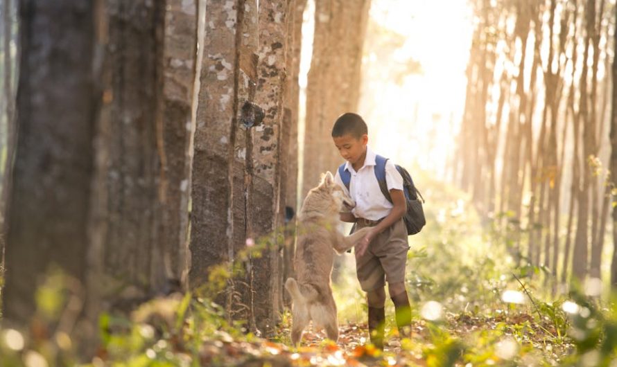 Купить диплом техникума в Белинском