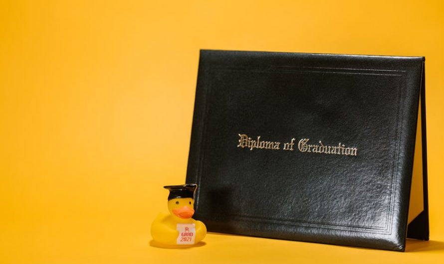 Диплом купить во владивостоке